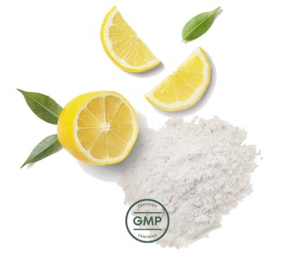 Primal Multivitamin